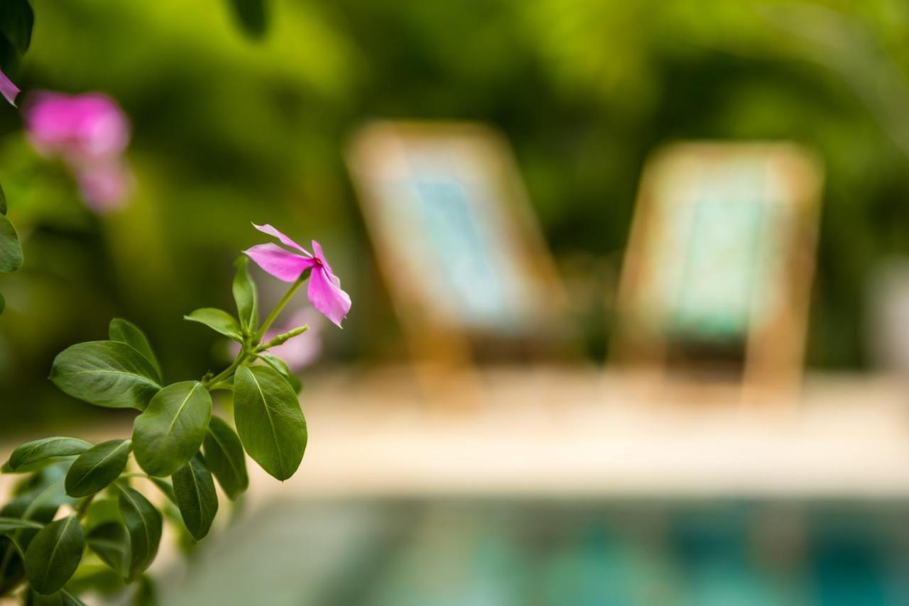 Zen Garden Tamarindo - Adults Only Hotell Exteriör bild