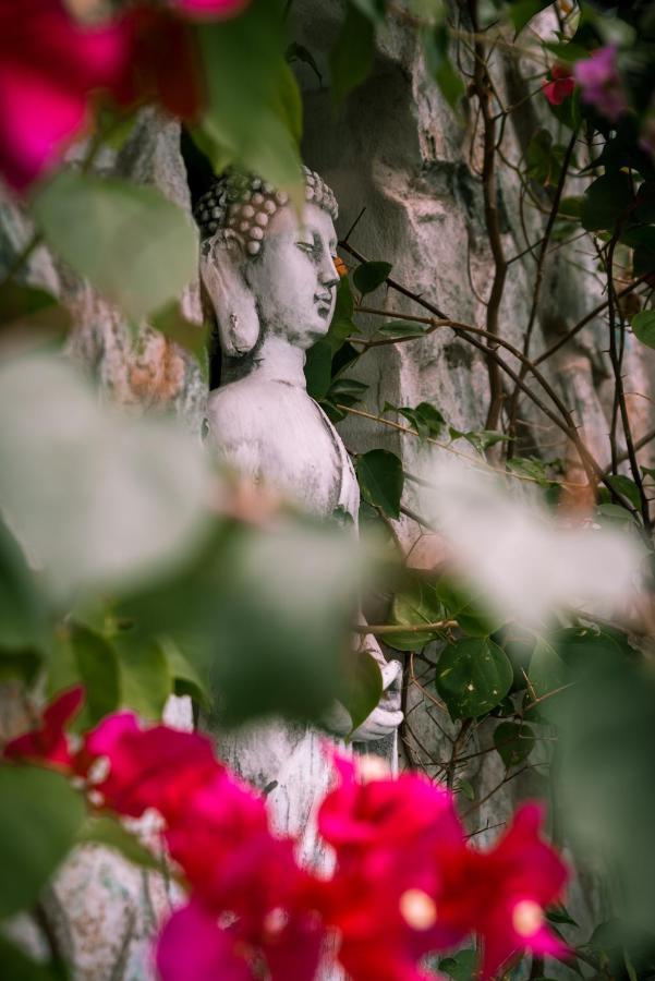 Zen Garden Tamarindo - Adults Only Hotell Exteriör bild